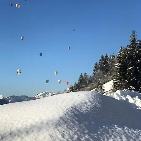 Cosy Nest Lejlighed Praz-sur-Arly